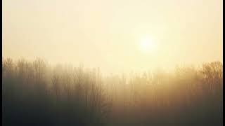 Early Spring Canopy I  | Unreleased  Track | Soft Felt Piano | Sylvan Soundscape screenshot 5