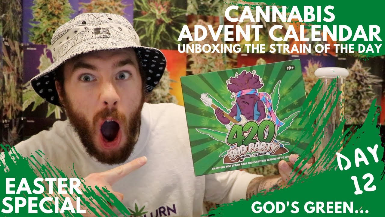 Day 12: God's Green Crack Marijuana Strain Review - 420 Cannabis Advent Calendar Unboxing