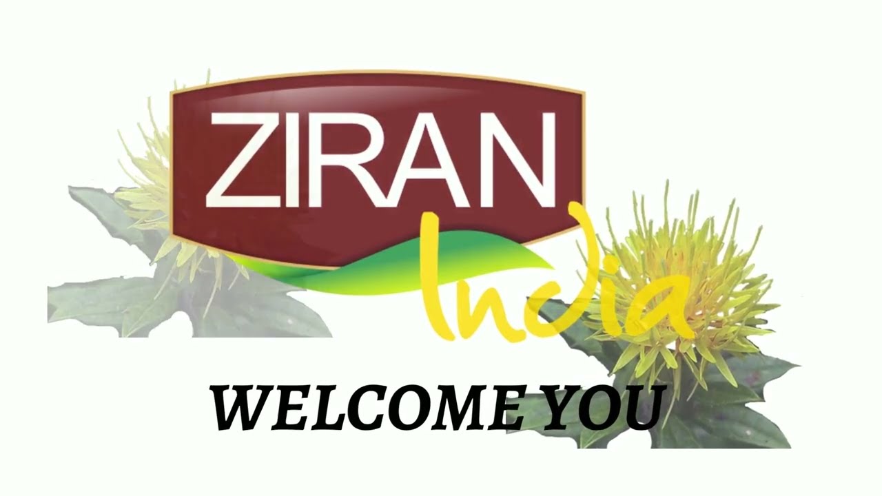 Carthamus Tinctorius | specifiaction of it | benefits of safflower