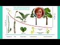 Биология. Жизненный цикл растений. Чередование поколений