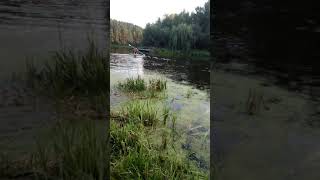 сапборд сделал сам сапборд сделал сам