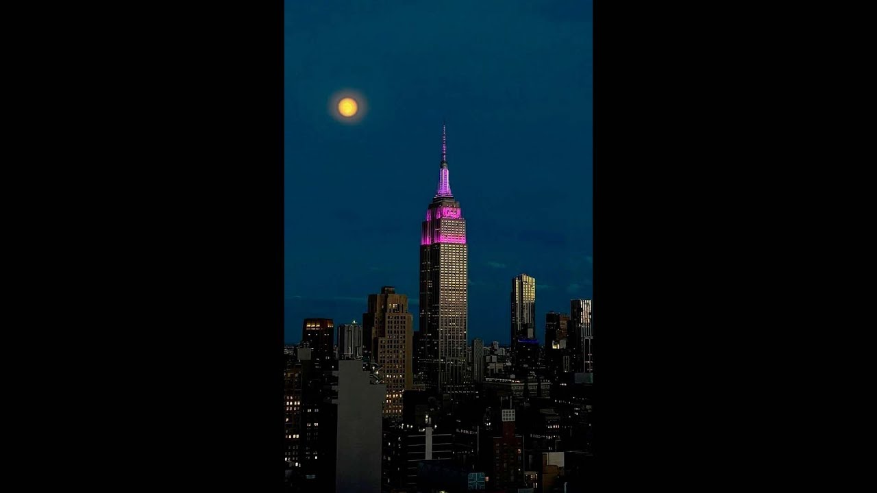 [FREE] Bad Bunny x Omar Courtz Type Beat - VUELVE | Jersey Club Type Beat