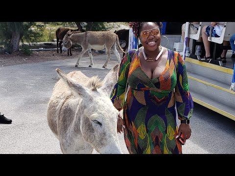 Tour Of Grand Turk: LITERALLY A Tour Of The Whole Island With #ThePassportSlayer