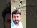 Hasan goat farm