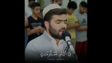 تلاوة من سورة الحج / القارئ بيشه وا قادر الكردي