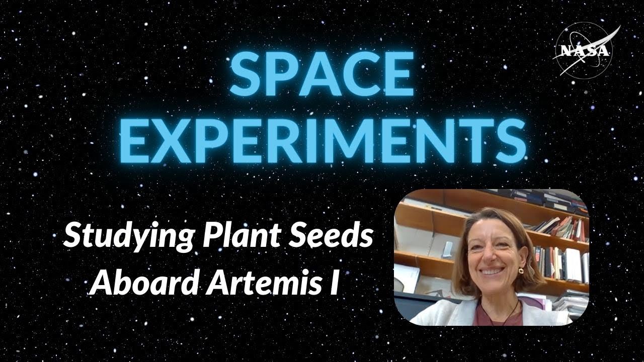 Onboard Artemis I: Studying Plant Seeds in Space