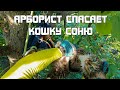 Арборист из Иваново спас кошку с дерева. Залезла на самую макушку дерева.