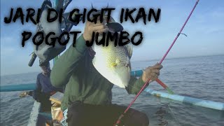 Download lagu MANCING DI LAUT RASA MANCING DI EMPANG || TRIBANG STRIKE BERTUBI - TUBI || BMV HORE #4 #MANCINGMANIA