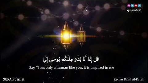 ما تيسر من سورة فصلت القارئ رعد الكردي | قُلْ إِنَّمَا أَنَا بَشَرٌ مِثْلُكُمْ يُوحَىٰ إِلَيّ