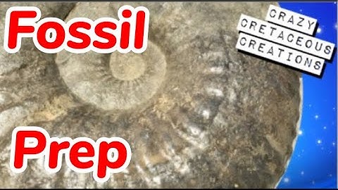 Air Abrasion and Final Polish Grandis Ammonite Prep,, ep 7