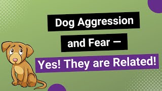 Dog Aggression and Fear - Yes They are Related! by Everything Dog 442 views 4 years ago 9 minutes, 50 seconds