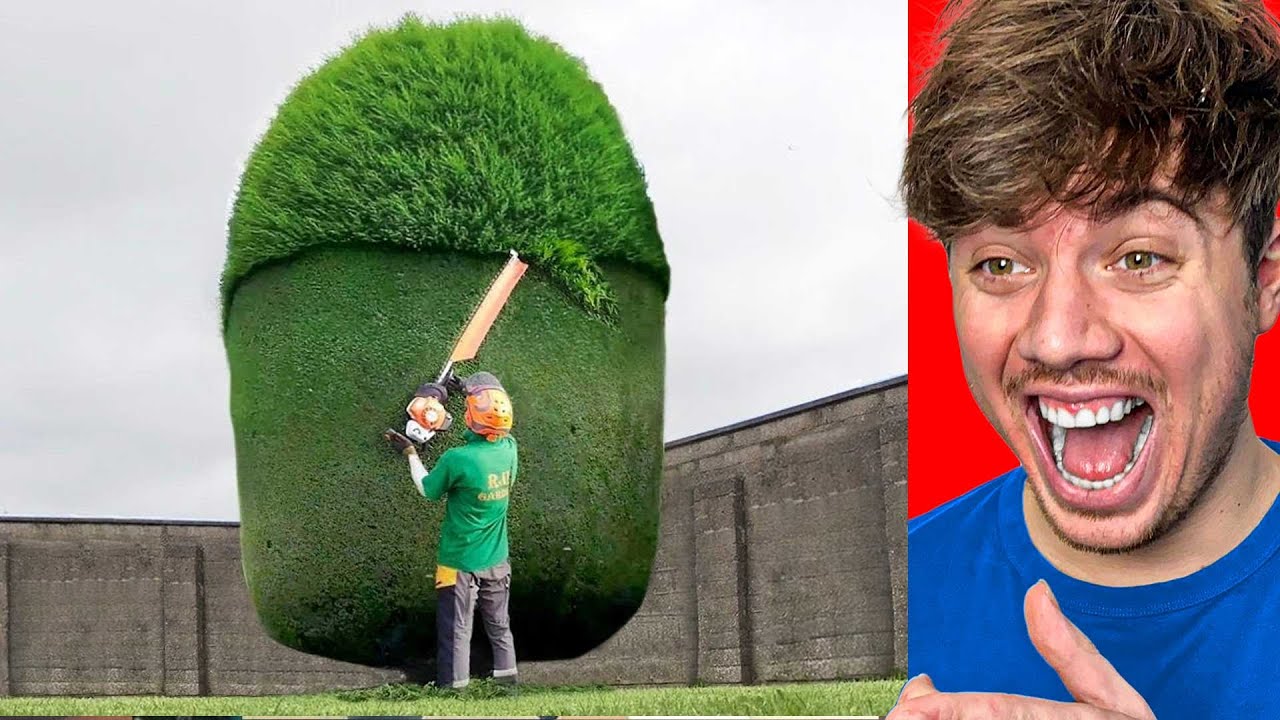 MEEST SATISFYING VIDEO TER WERELD!