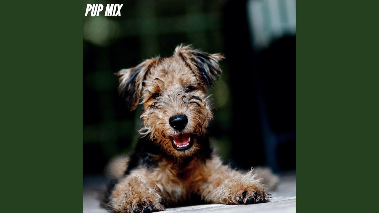 Vivacious Music for Careful Waves