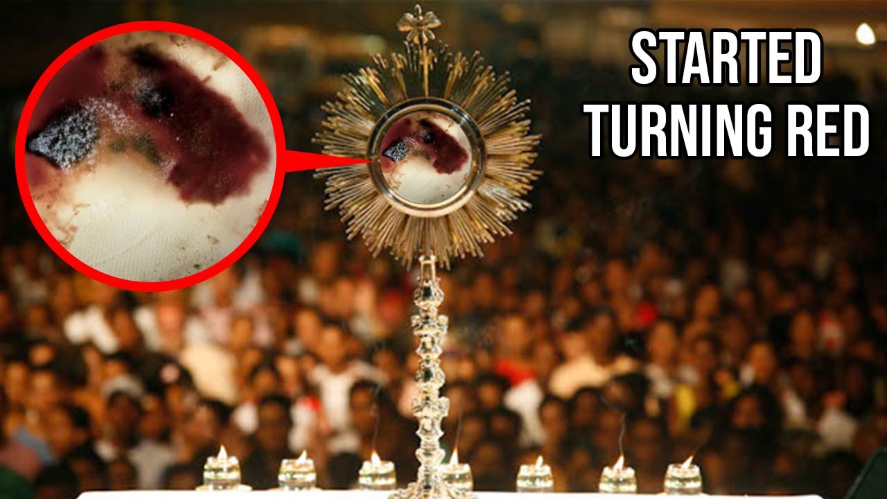 Download 3 Scientifically Proven Eucharistic Miracles