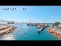 Eilat aujourdhui une ville balnaire au bord de la mer rouge