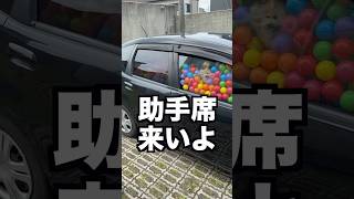 【ドッキリ】後輩の車の中カラーボールで埋めてみた