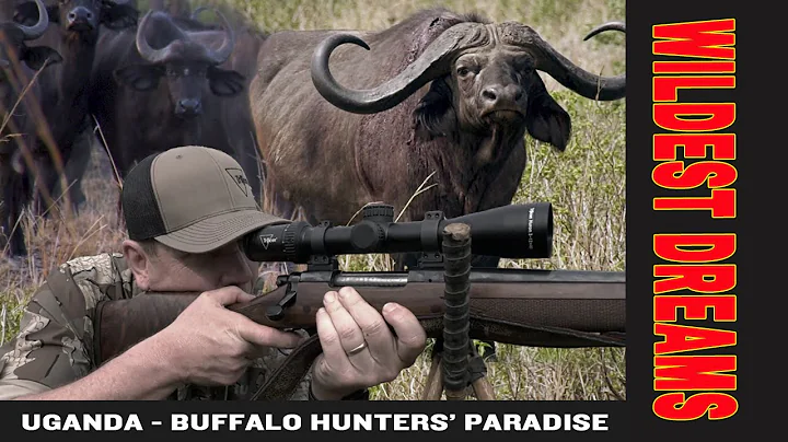 Uganda_A Buffalo Hunters' Paradise