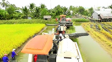 CẢNH BỘ BA MÁY CẮT LÚA KUBOTA DC93 DC70 CHUYỂN CẦU QUA VUÔNG TÔM