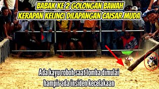 Babak ke 2 golongan bawa kerapan kelinci dilapangan Caisar Muda