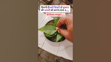 बुधवार की अष्टमी का उपाय 5 बेलपत्र गुड़ मूंगदाल #pradeepmishrajikeupaay #bimarikeupay #pradeepmishra