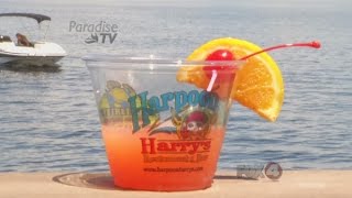 Paradise Untapped: Harpoon Harry's