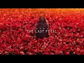 Shadoh #KOTN - Last Petal (Prod Tobi Aitch) [Animation Visualiser]
