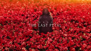 Shadoh #KOTN - Last Petal (Prod Tobi Aitch) [Animation Visualiser]