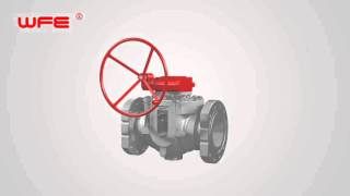 WFE Top Entry Ball Valves 3D Demonstration