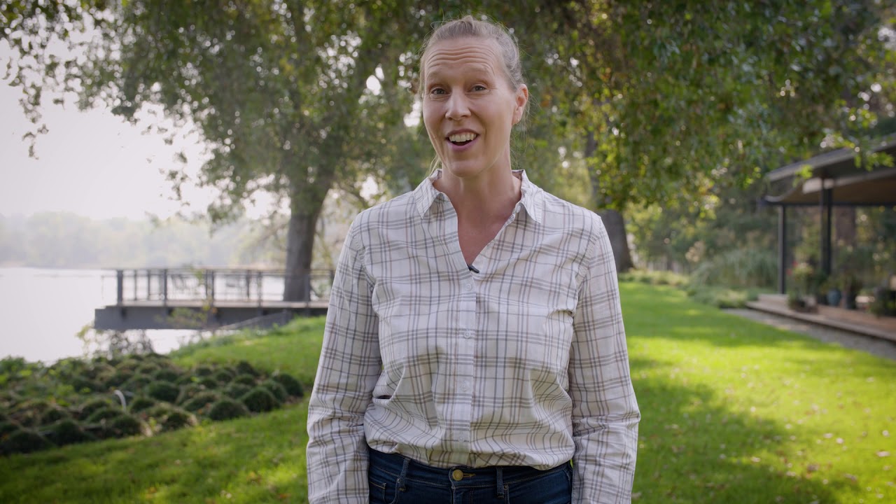 Betancourt on Healthcare