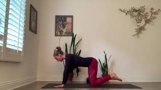 Celebrity Yoga Soup Teacher Training Video: Week 1 and 2 overview of asanas Wealth