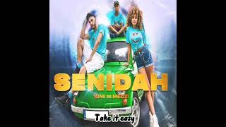 Download Lagu Kimi x Medži Senidah - tekst MP3