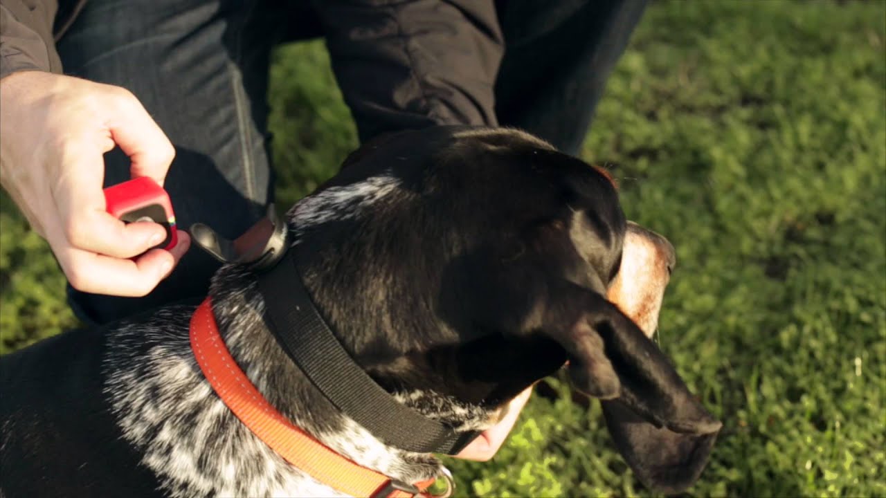 sku 4481599, 4481602, 4481604 Polaroid Cube