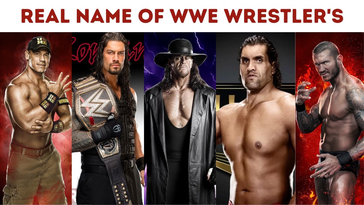 Real Name of WWE Wrestlers WWE Wrestling Sportify Nation wwe 