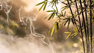 Calm the Shen II｜安神静心 II｜3-Hour TCM Wellness｜Music for Deep Relaxation & Inner Peace screenshot 2