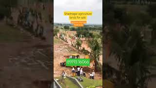 #Shadnagar agriculture lands #banglore highway hyderabad farmlands for sale