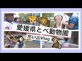 🌺☺️ぶ〜らぶら愛媛県とべ動物園☺️🌺【Ehime Tobe Zoo】一時帰国中思い出ビログ｜日本…