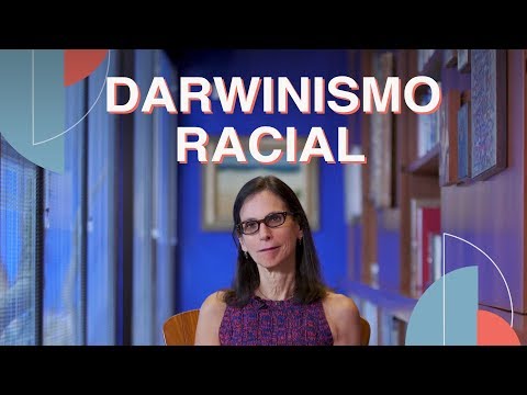 Vídeo: Teoria racial