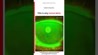 👁️ This is why human blink💧| MDCT