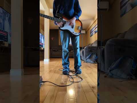 beginner bassist learning basslines by jacks chronicle life