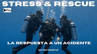 El Curso que Todo Buceador Debería Hacer | Stress and Rescue Diver