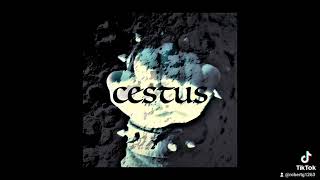 Fallen Angel Cestus
