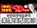 【禁断のマウス実験】食料∞・病気や天敵ゼロなのに滅亡…楽園実験「ユニバース25」とは何か？【小学生でもわかる科学・ざっくり解説】
