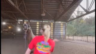 Leaked Video Of Oregon Horse Trainer Sparks Outrage Online Amid Numerous Animal Abuse Allegations
