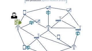 Selfnet Project | Proef Group screenshot 5