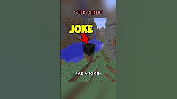 The Funniest Thing in Minecraft History