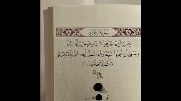 القارئ احمد العجمي [وَعَسَىٰ أَن تَكْرَهُوا شَيْئًا وَهُوَ خَيْرٌ لَّكُمْ ]🤍.'