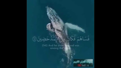 كميه راحه نفسيه في هذا الصوت الجميل #قران_كريم_بصوت_جميل_جدا #تلاوه_تريح_الاعصاب_وتهدئ_النفوس