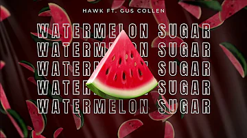 Hawk - Watermelon Sugar (Ft. Gus Collen)