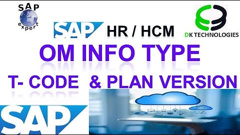 How to Configure Infotype and Plan Version | Organizational Structure Plan version | DK TECHNOLOGIES
