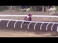 View race 3 video for 2019-05-11